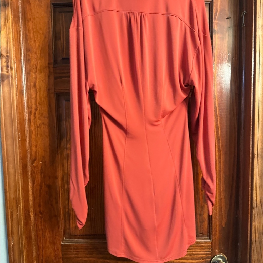 Cinq à Sept Rust Button Down Shirt Dress - Picture 2 of 6